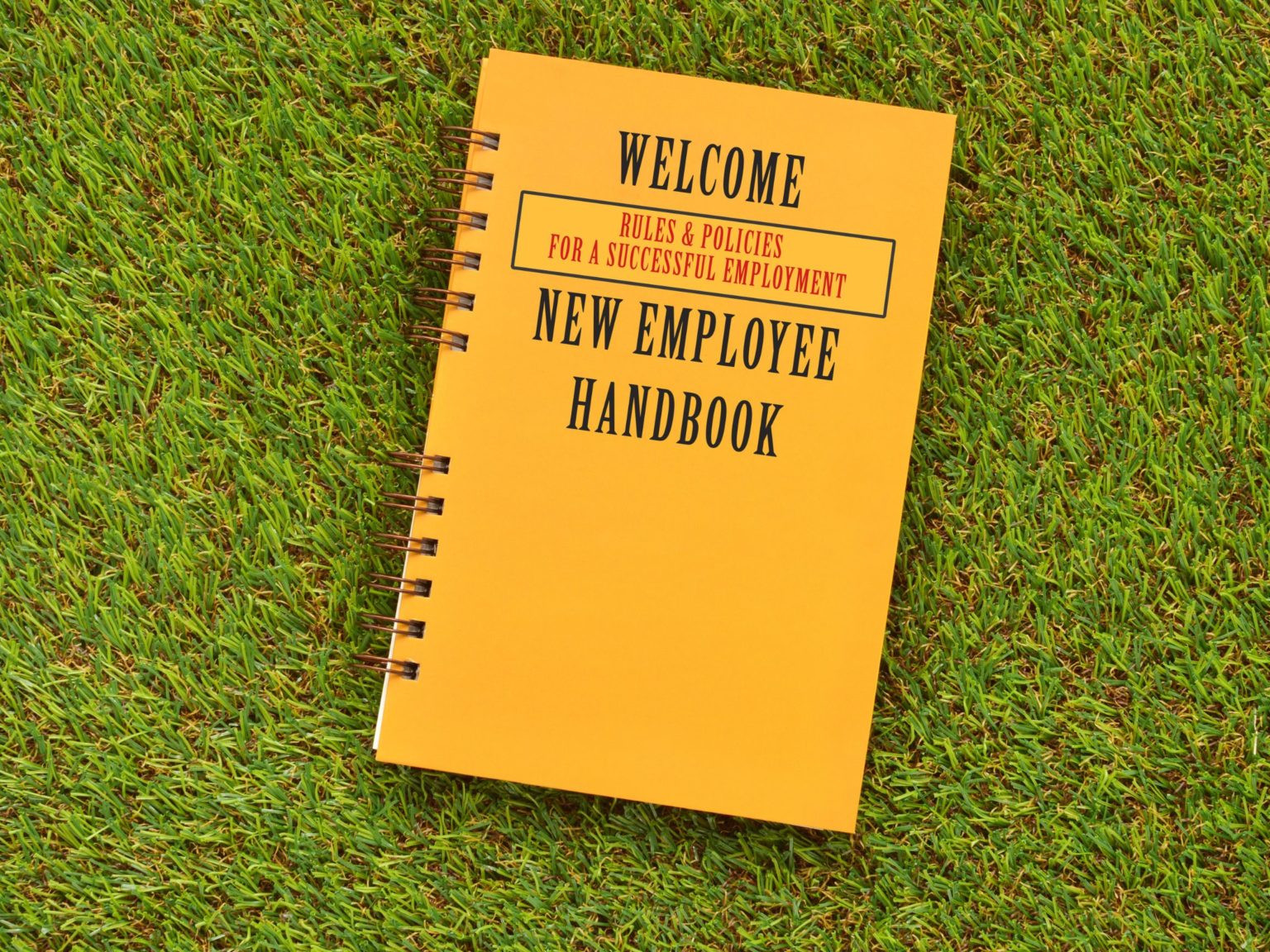 can-we-have-multiple-versions-of-our-employee-handbook
